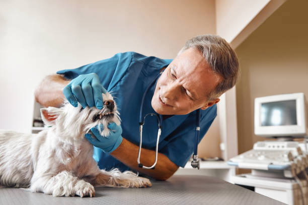 Best Emergency Treatment for Toothache in Tishomingo, OK